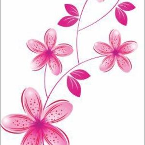 Meet your Posher, Paula